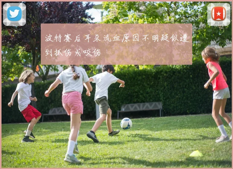 波特赛后耳朵流血原因不明疑似遭到抓伤或咬伤