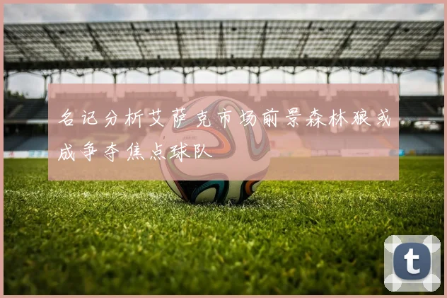 名记分析艾萨克市场前景森林狼或成争夺焦点球队