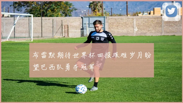 布雷默期待世界杯回报艰难岁月盼望巴西队勇夺冠军